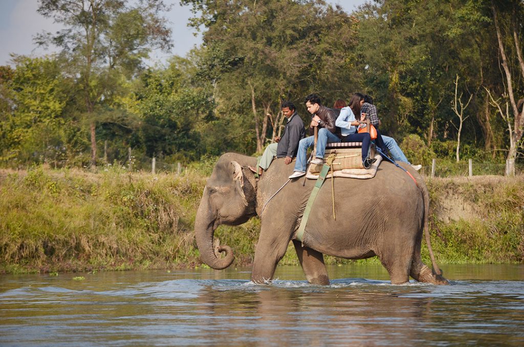 chitwan-elephant-riding-wish-nepal